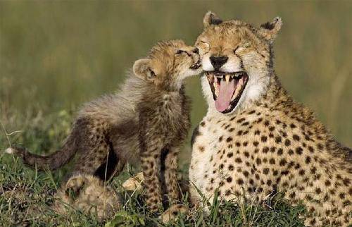 妹妹|欢笑集锦:年轻的时候也是这个味