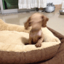 大起大落|人生大起大落, 真是太刺激了!