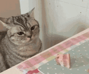 五花肉|搞笑gif: 好漂亮的五花肉啊,我就碰一碰,绝对不会吃的