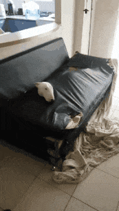 鬼才|搞笑gif: 数学鬼才！！