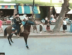 文松|让你笑的二十八张图(比宋小宝 文松搞笑)开心一刻