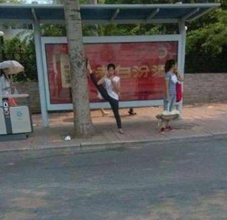 审美观|搞笑GIF：一只有着审美观的鹦鹉