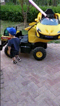 老鼠|搞笑GIF：本想黏老鼠，没想到黏了只蠢猫