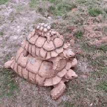 童年|搞笑GIF动图:童年的样子