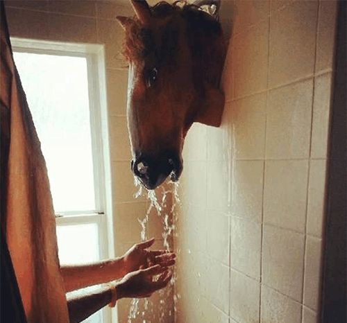 尴尬|让人“摸不着头脑”的尴尬图片。