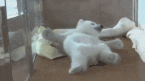 秀发|搞笑GIF：姐姐这一头迷人的秀发实在太美了。。。