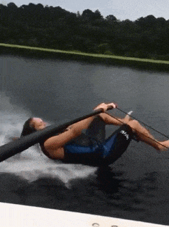 丢人|爆笑GIF: ?狮子你丢人不,居然如此没尊严