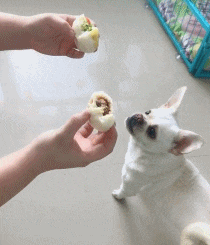 大哥|搞笑GIF趣图: 大哥大哥, 我错了, 给个机会行不行