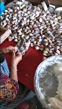 刀工|搞笑GIF:你这刀工太厉害了,竟然可以切的这么薄!