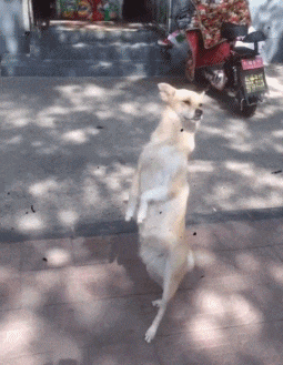 田螺|开心笑话：昨天晚上和媳妇陪她闺蜜吃烧烤，旁边坐了四个二十左右