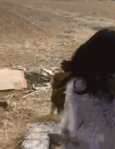 紧箍咒|搞笑GIF:熊孩子你也要带紧箍咒啊