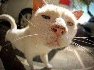 老婆|开心一刻:昨天,我下班坐公交车回家。