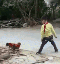 着急|爆笑GIF图：你说你那么着急干什么，我又没说不让你吃。