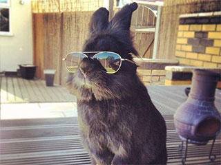 不要|搞笑GIF：?我美的不要不要的，丑的只剩脸了！！