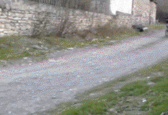 爆笑|爆笑GIF:有人这样向你走来就问你怕不怕!