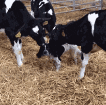 背包|你永远猜不透女孩子背包后会有什么