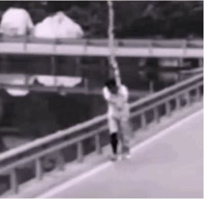 面包车|搞笑GIF：到底是先有的树，还是先有的车，这树这辈子也值了，至少坐过面包车