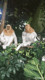 亲热|搞笑GIF：这就是女朋友生气，而你又想亲热时的场景