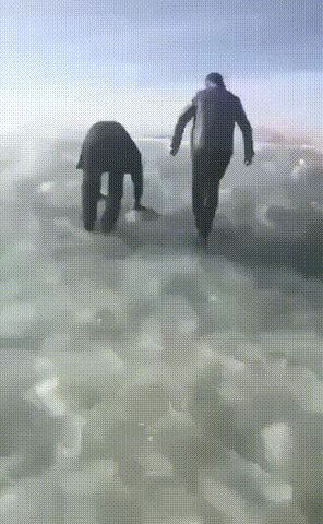 肖邦|趣图 |?? 朋友要买车，找我咨询四驱和两驱的区别。