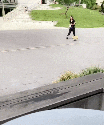 海报|搞笑GIF: 我就是不喜欢这张海报, 你不撕我就给你撕下来了!