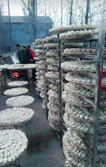 分钟|内涵段子:一分钟之内我要这个地方的地址