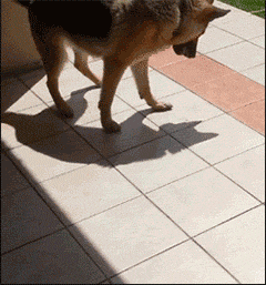 大爷|大爷,你辣瞎了我的眼睛