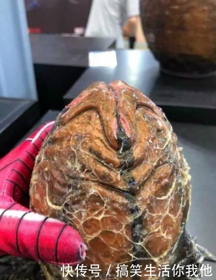 三百六十|搞笑GIF动图：哥们，我被你一身肌肉骗了。。。