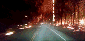 貂蝉|爆笑GIF趣图: 看见这样的大乔和貂蝉, 我瞬间也想玩游戏了!