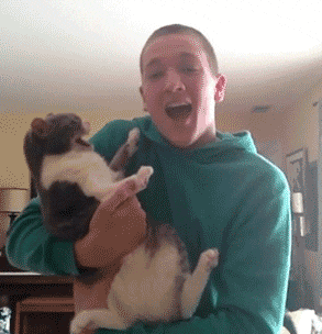 寸草不生|搞笑GIF: 真应那句话, 女司机路过真是寸草不生..