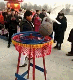 尴尬|搞笑GIF趣图:你也曾经有过夹不起菜的尴尬吗?