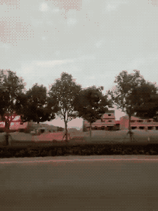 考试|搞笑gif趣图：这正开车呢？你能不能老老实实啊！