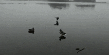 大起大落|人生大起大落, 真是太刺激了!