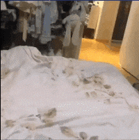 感觉|搞笑GIF：一个精致的司机，但是给人的感觉有点娘啊