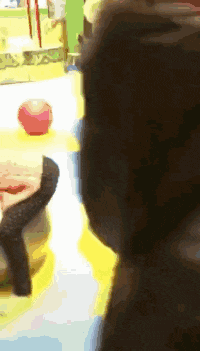 孩子|搞笑GIF:只是过程真的有点痛苦哦。