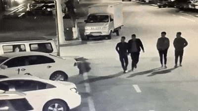 这是|搞笑GIF：这是什么动物，也太可爱了！好喜欢！