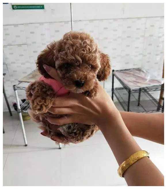 哥们儿|开心一刻笑话:我一个哥们儿,和媳妇离婚两年,但两人都没有再找