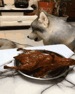 替身|搞笑GIF：我看到小骨的替身了。