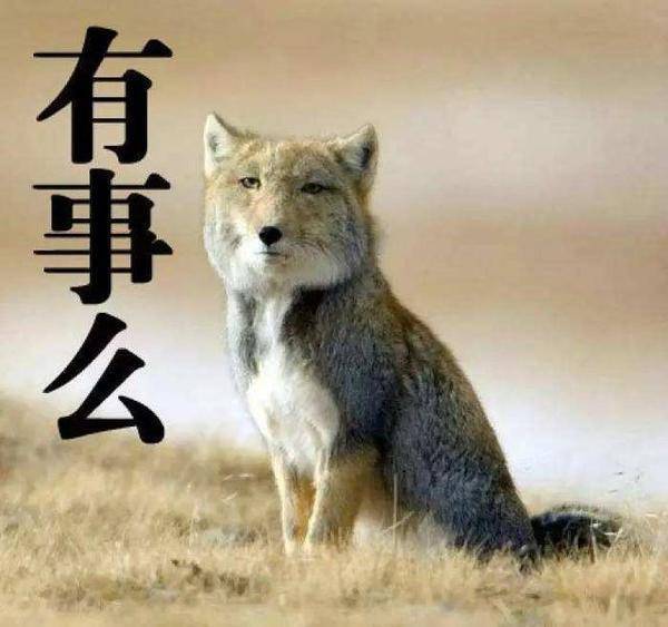 尼玛|大学生掏鸟案还未平息,我竟然在大街上遇见贩卖野生动物器官的…