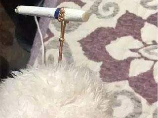 插兜|搞笑gif: 甭管穿什么裤子,手插兜帅就完了