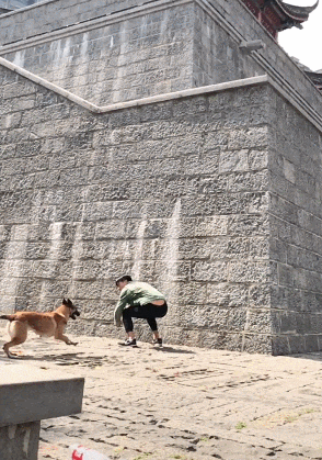 辞职信|搞笑GIF:领导看了不得不签的辞职信