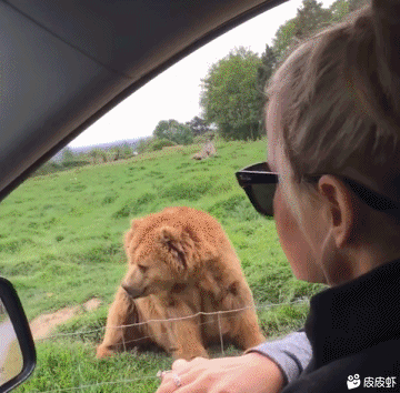 滑冰|搞笑GIF:看看我们大东北,滑冰这玩意根本就不用学的