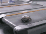 还是|搞笑GIF:小时候最害怕的事情最后还是发生了