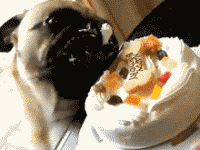 强扭的瓜不甜|搞笑gif动态图:这么二的妈妈,真的不多见哦