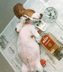 表嫂|我早就觉得你恶心了，这两个人真是搞笑啊