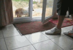 干净|爆笑GIF动图：大哥你这车想洗洗，应该没有人愿意接这活吧！