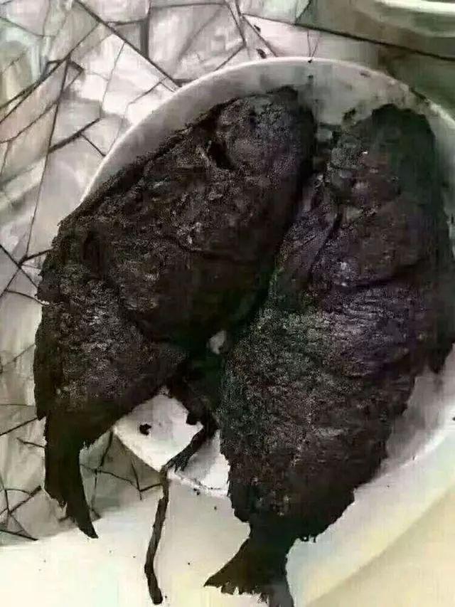 老王|搞笑图片:段友们,给我这道菜起个菜名!