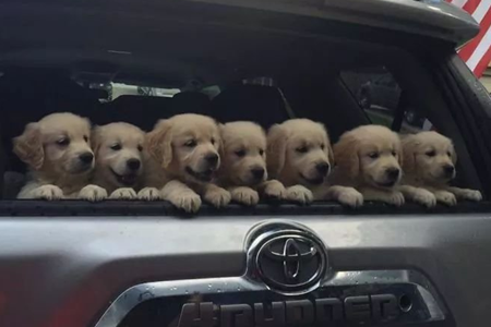 大妈|大妈:“我女儿谈了个男朋友,说就是这个宿舍的,只要不是你我就放心了”