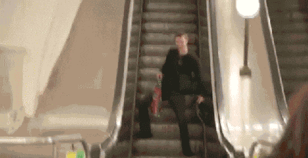 乖巧|搞笑gif: 好乖巧的二汪