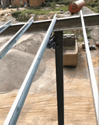 妹子|搞笑GIF:谁知道这什么什么品种,圣诞送给女神应该不错吧