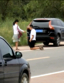 魔镜|搞笑GIF：我今天跟红绿灯一起聚了个餐，不信你看看，好有序的一幕。